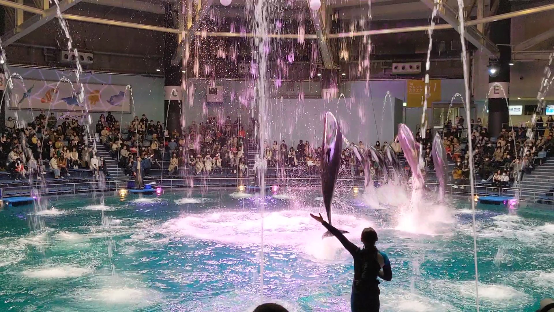 子連れレポ マクセルアクアパーク品川 映える水族館